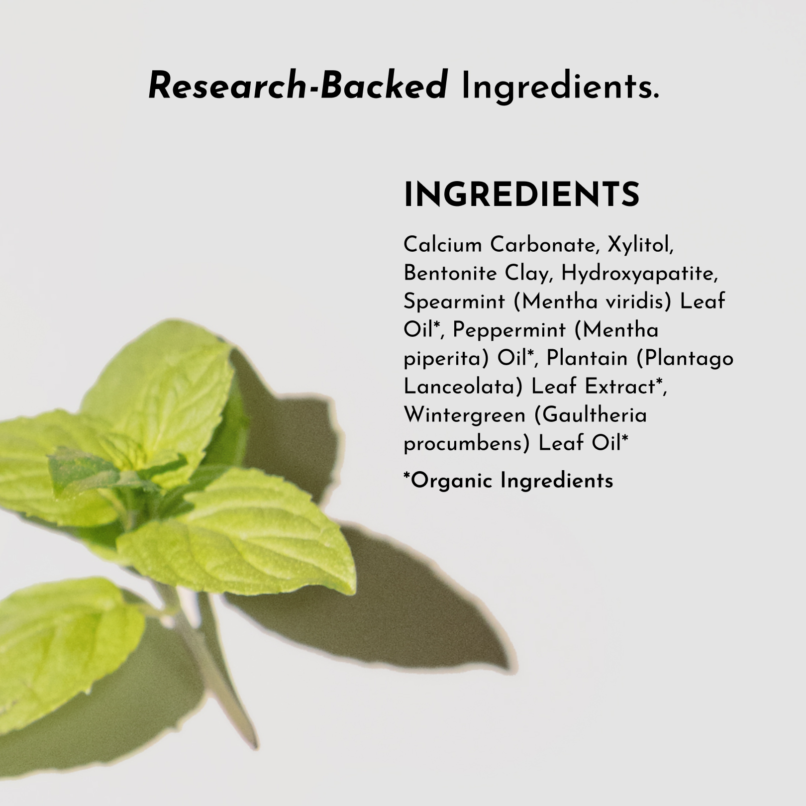 Remineralizing Tooth Powder (Mint)